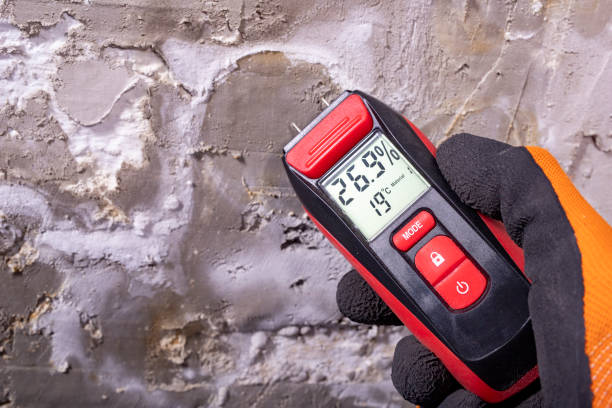 Best Home Mold Removal  in Cameron Park, TX