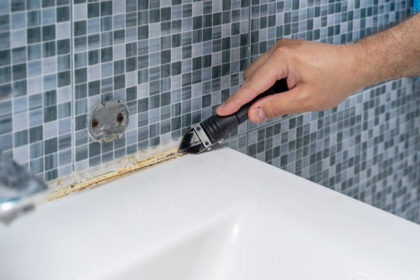 Best Emergency Mold Removal  in Cameron Park, TX
